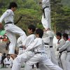 kyunghee_demo 30